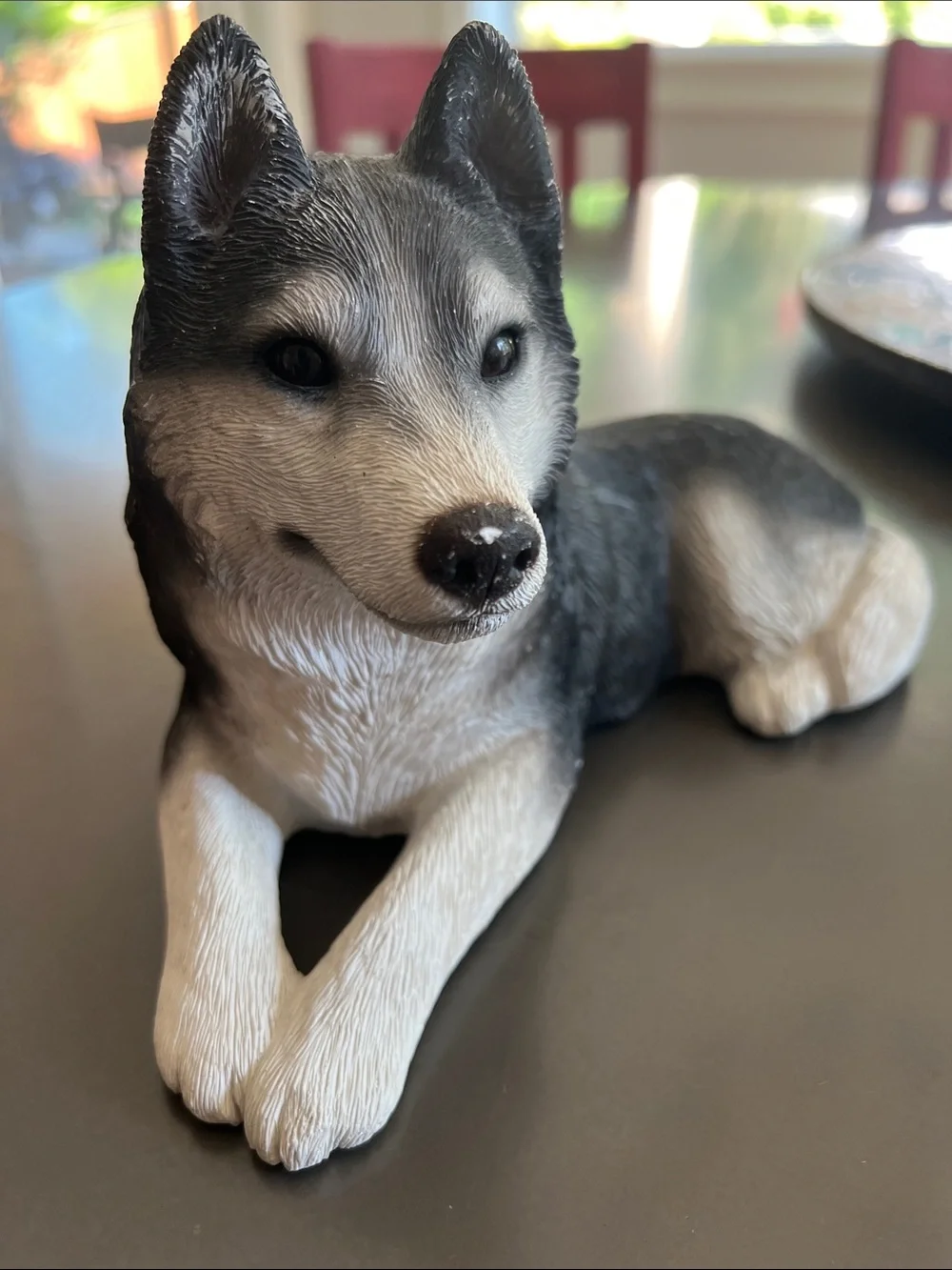 Black & White Husky Realistic Lifelike Design
